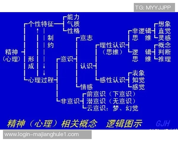 独家解析WE意识形态的异同与影响力深度对比分析